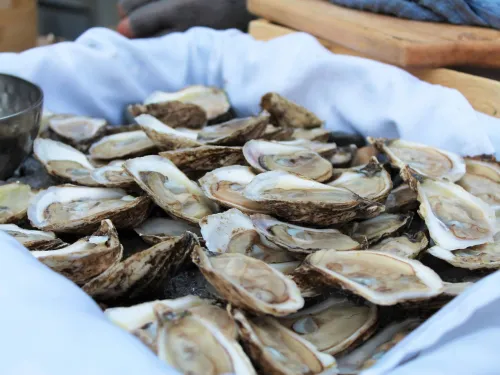 Tofino Oyster Fest