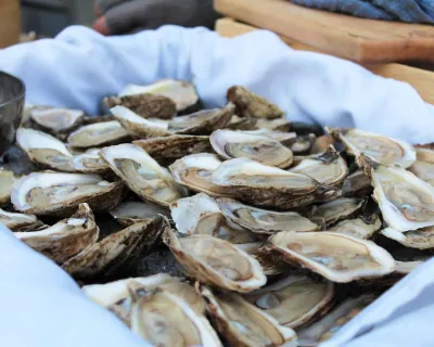 Tofino Oyster Fest